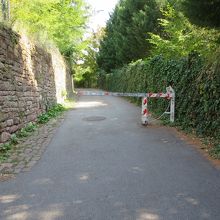 こちらから歩きました