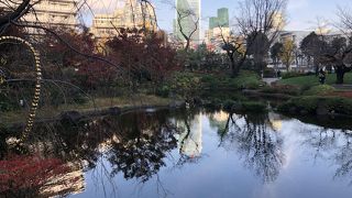 一部色づいてました