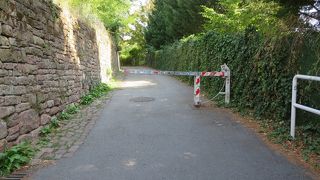 眺めが良かった