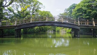 やながわじょうぼり