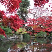 毎年恒例の紅葉