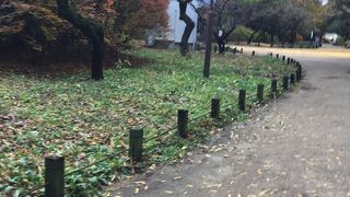 自然を感じたいときに