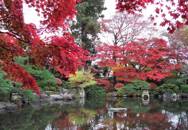 毎年恒例の紅葉