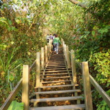 半屏山自然公園