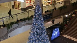 吹き抜けから見下ろせるツリー