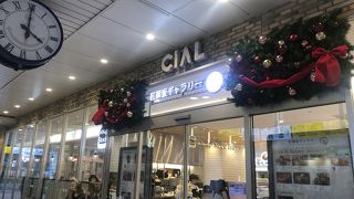 シャルもクリスマス