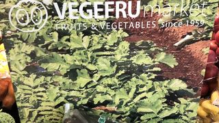 ベジフルステーション （VEGEFRU STATION）