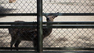 奥宮に向かう途中