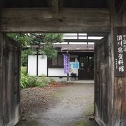 賑やかな展示