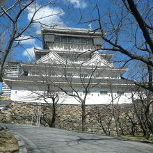 春は桜が咲き、きれいでしょう
