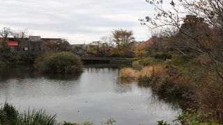 豊かな水をたたえた公園