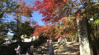 11月の紅葉時期に訪問