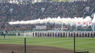 春を感じる高校野球を始めてみました