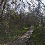 ウォーキングにもってこい、土器川生物公園