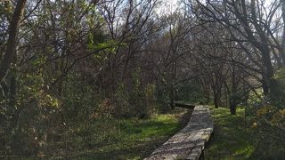 ウォーキングにもってこい、土器川生物公園