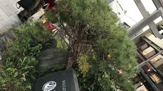 京都の風情が溢れる参道