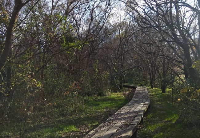 ウォーキングにもってこい、土器川生物公園