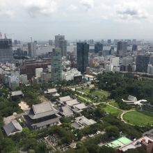 展望台からの景色