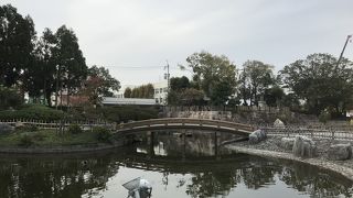 子供たちで賑わう公園です