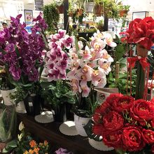 花のコーナー