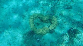 シュノーケリング