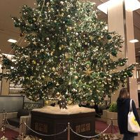 ロビーに飾られたクリスマスツリー