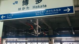 博多から新大阪まで利用