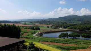 整備された公園です