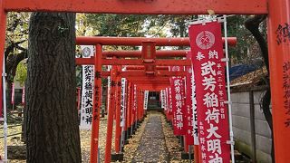 紅葉写真のポイント