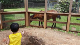 なかなか良かったです。