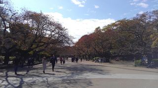 のんびり散策しました