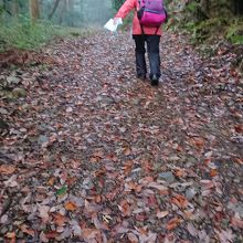 落ち葉のうとう峠