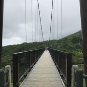 那須岳のふもとに！つつじ吊橋！！