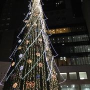 子供心に帰れるクリスマスツリー