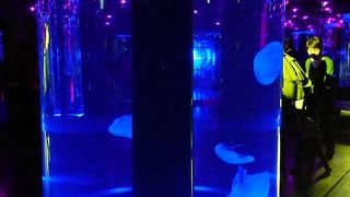 エプソンアクアパーク