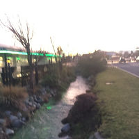 ホテル脇にある小川。水がとても綺麗で冷たかった。