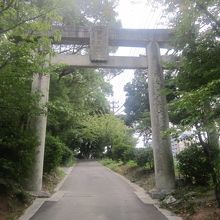 頓宮に続く参道入口の鳥居の様子