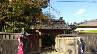 庭園が見どころ （無量光苑釈迦堂）