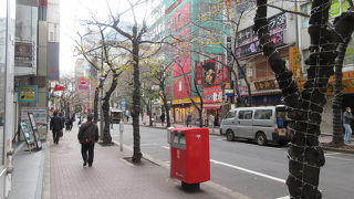 たくさんの桜が植えられています