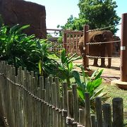 ワイキキの東端にある動物園です