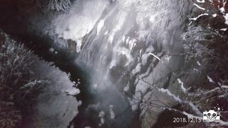 冬のライトアップ時期も見てほしい。