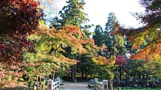 江戸に水を供給した野火止用水