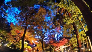 ライトアップは期間限定／睡足軒の森