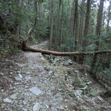 焼山寺への険しい山道です