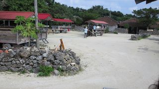 竹富島の水牛観光