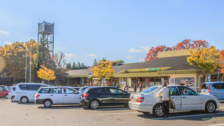 紅葉がきれいでした