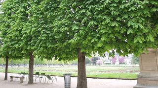 フランス式庭園で緑美しい公園