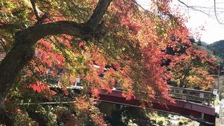 秋の紅葉に染まりきります。