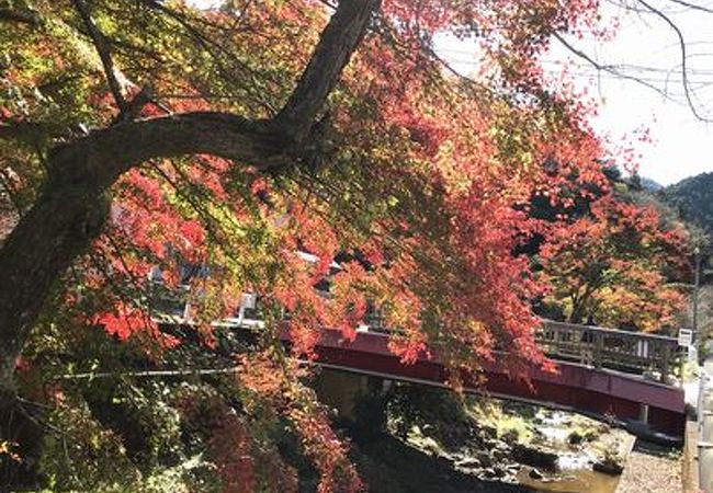 秩父御嶽神社 東郷公園 クチコミ アクセス 営業時間 飯能 フォートラベル