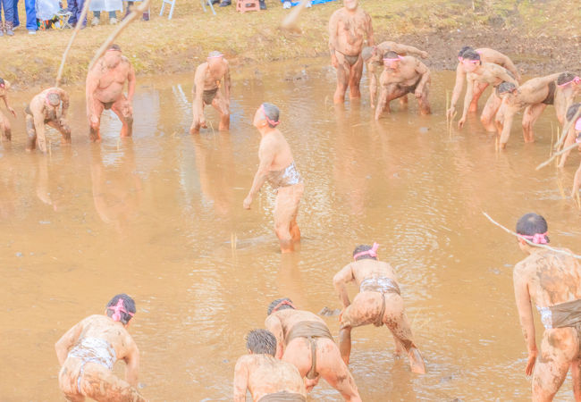 和良比はだか祭り